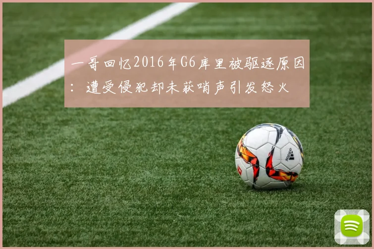 一哥回忆2016年G6库里被驱逐原因：遭受侵犯却未获哨声引发怒火
