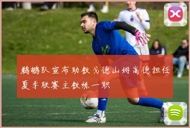 鹈鹕队宣布助教戈德山姆高德担任夏季联赛主教练一职