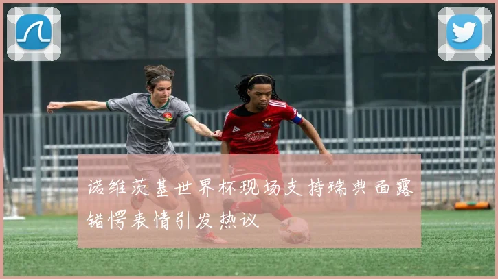 诺维茨基世界杯现场支持瑞典面露错愕表情引发热议